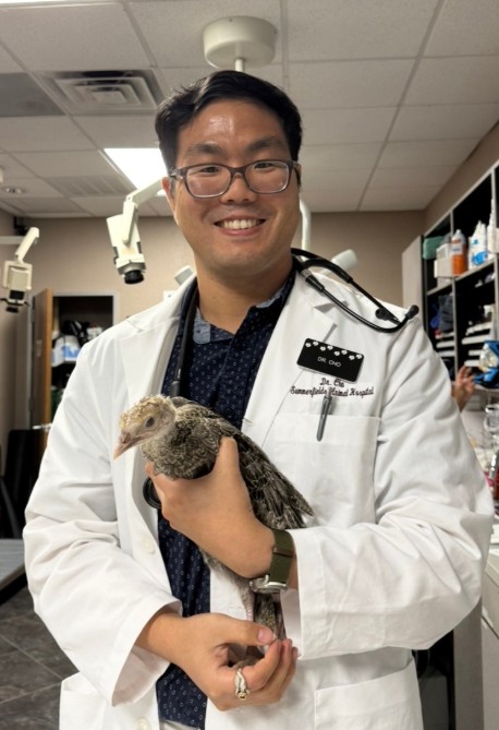 Dr. Cho